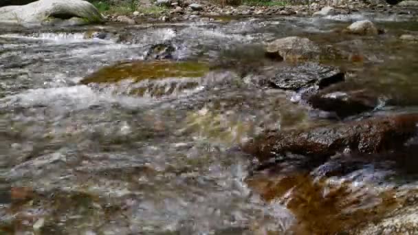 Přítok Řeky Passirio Tekoucí Vodou Lana Itálie — Stock video