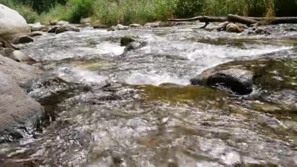 Biström Till Floden Passirio Med Rinnande Vatten Lana Italien — Stockvideo