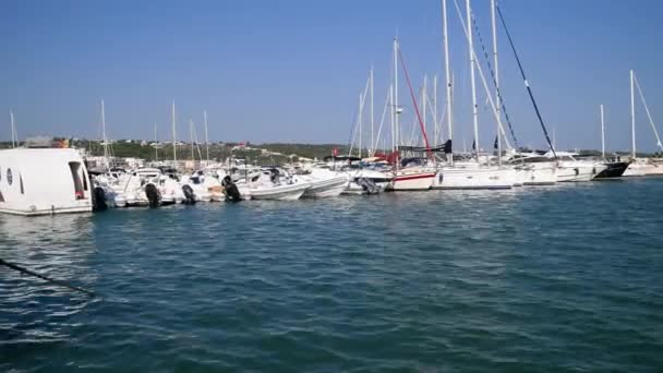 Vieste Italie Août 2023 Vue Port Vieste Avec Des Bateaux — Video