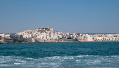 Vieste, İtalya - 23 Ağustos 2023: Vieste gezinti güvertesinden panorama