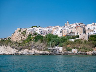 Vieste, İtalya - 23 Ağustos 2023: Vieste limanının tekneli manzarası
