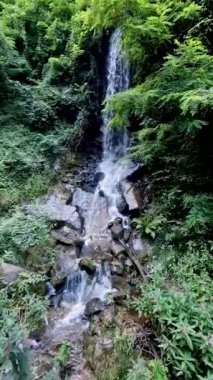  Bir dağ deresinin berrak ve temiz suyu.