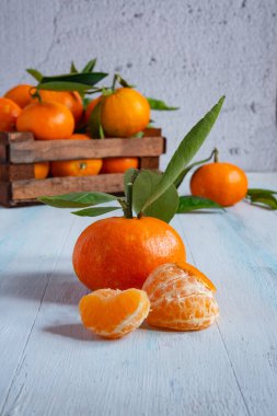 Olgun mandalinalar yeşil yapraklarla dolu açık mavi ahşap bir masa üzerinde ahşap bir sandık, meyvenin tazeliğini sergiliyor.