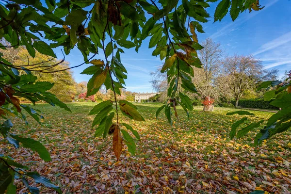 Дом Стоурхеда Вид Садов Окруженный Деревом Буйной Осенью Опавшими Листьями — стоковое фото