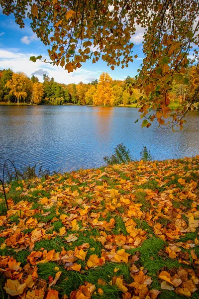 Lago Stourhead Cores Outono Cheio Amarelo Ouro Laranja Vermelho Stourton — Fotografia de Stock