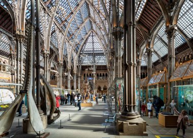 Oxford Üniversitesi Doğa Tarihi Müzesi, Oxford, Oxfordshire, İngiltere 25 Mart 2023