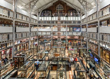 The Pitt Rivers Müzesi, Oxford, Oxfordshire, İngiltere 25 Mart 2023