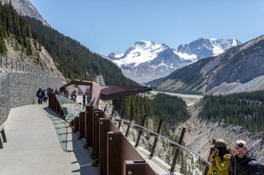 6 Haziran 2023 'te Jasper Ulusal Parkı, Alberta, Kanada' da Columbia Icefield Skywalk 'u yere serdi.