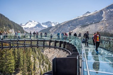 6 Haziran 2023 tarihinde Kanada 'nın Alberta kentindeki Jasper Ulusal Parkı' nda Columbia Icefield Skywalk 'un cam döşeme güvertesinde duran turistler,