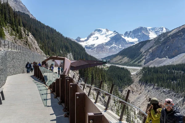 6 Haziran 2023 'te Jasper Ulusal Parkı, Alberta, Kanada' da Columbia Icefield Skywalk 'u yere serdi.