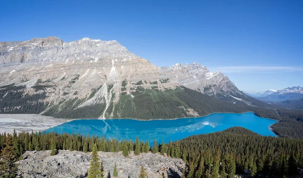 Panoramatická Krajina Jezera Peyto Národním Parku Banff Alberta Kanada — Stock fotografie