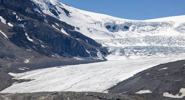 2023年6月6日にカナダ アルバータ州ジャスパー国立公園のアイスフィールド パークウェイからのアサバスカ氷河の氷探検家 — ストック写真
