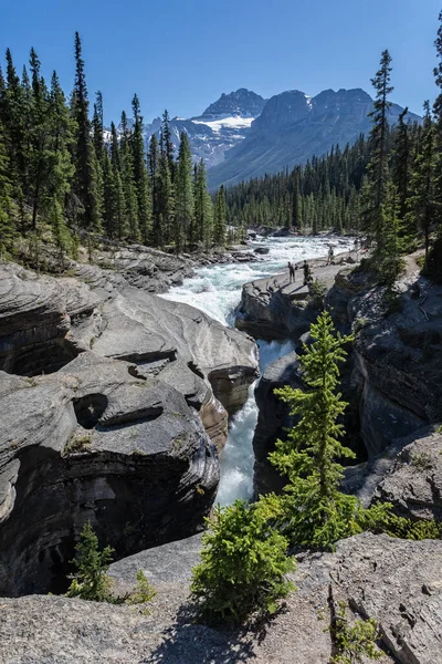 Ledovcové Bouřlivé Vodopády Zasněženými Horami Pozadí Národním Parku Banff Kanadských — Stock fotografie