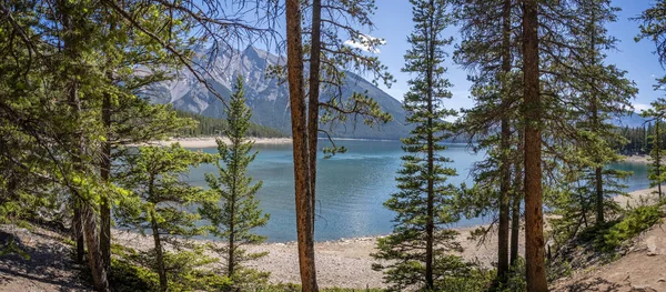 Panoramatický Výhled Jezero Minnewanka Jedlemi Národním Parku Banff Alberta Kanada — Stock fotografie