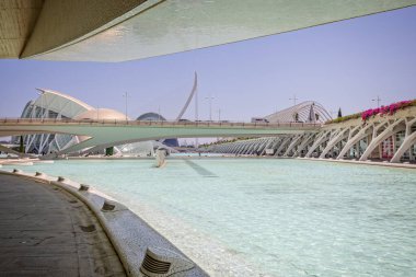 Hemisferic, Bilim Müzesi ve Umbracle, İspanya 'nın Valencia şehrinde 25 Ağustos 2023' te Palau de les Arts 'ın altında görüldü.