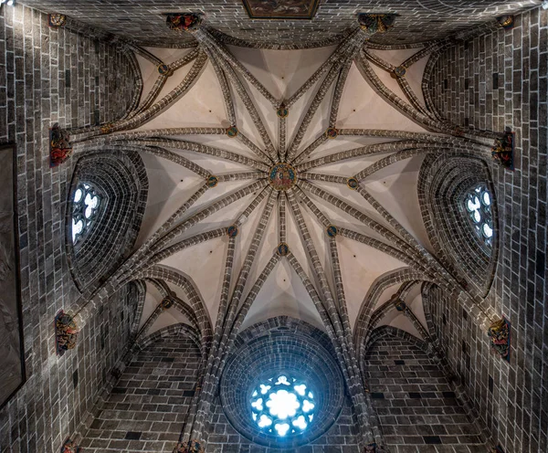 Ornate Mennyezet Belsejében Kápolna San Pedro Valencia Katedrális Valencia Spanyolország — Stock Fotó