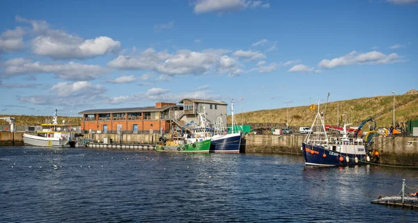 Barcos Pesca Atracados Perto Escritório Porto Eyemouth Harbour Berwickshire Escócia — Fotografia de Stock