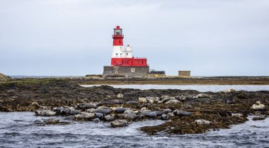 Longstone Kayası 'ndaki Longstone Deniz Feneri. 23 Eylül 2023' te İngiltere 'nin Northumberland kentindeki Farne Adaları' nın ön planında bulunan fok kolonisi.