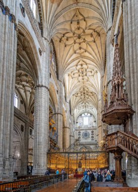 16 Ekim 2023 tarihinde İspanya 'nın Salamanca kentindeki Yeni Salamanca Katedrali' nin ana havzası.