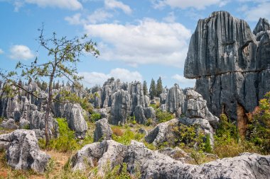 Karst 'ın dramatik kireçtaşı oluşumları. Taş Ormanı Ulusal Geo-Parkı, Yunnan, Çin' deki Stoine Dişleri gibi.