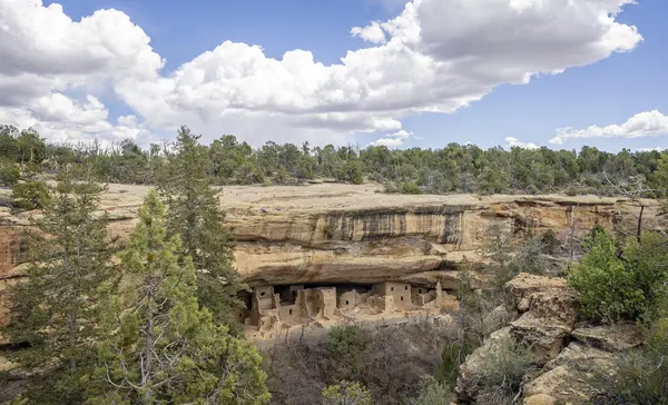 stock image Ancient Spruce Tree House cliff dwelling in Mesa Verde national Park, Colorado, USA on 20 April 2024