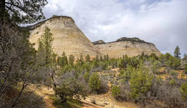 25 Nisan 2024 'te ABD' nin Utah eyaletindeki Zion Ulusal Parkı 'ndaki Mount Carmel Karayolu açıklarında dama tahtası kaya oluşumu