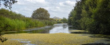 Panorama of waterway and reedbeds in the Somerset Levels with Glastonbury Tor in the background clipart