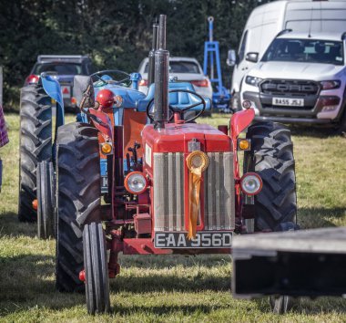 Massey Ferguson marka kırmızı vintage traktörü 14 Eylül 2024 'te Somerset, İngiltere' deki Frome Cheese Show 'da sergilenmektedir.
