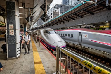 7 Ekim 2024 'te Tokyo istasyonundaki Shinkensen platformunda bir çift Japon mermi treni.