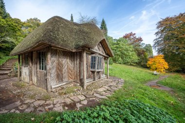 Lady Cott ya da Bear 's Hut - 20 Ekim 2024' te İngiltere 'nin Exeter kenti yakınlarında sonbahar ağaçları olan Killerton House' un bahçesinde sazdan yapılmış küçük bir kır evi.