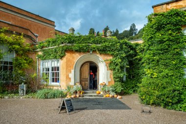 20 Ekim 2024 'te İngiltere, Devon, Exeter yakınlarındaki Killerton House' a Ivy kostümlü giriş