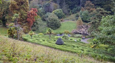 22 Ekim 2024 'te İngiltere' nin Cornwall kentindeki Glendurgan Garden 'da tarihi labirent