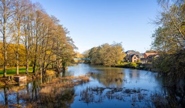Blandford, Dorset, İngiltere 'deki Stour Nehri ve sonbahar ağaçlarının 13 Kasım 2024' te sonbahar manzarası