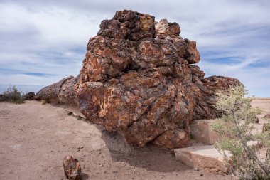 18 Nisan 2024 'te ABD' nin Arizona eyaletindeki Taşlaşmış Orman Ulusal Parkı 'ndaki devasa renkli bir ağaç gövdesinin kökleri..