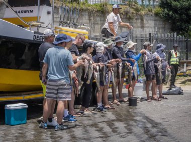 Group of deep sea fishermen and women showing off catch at Mossel Bay, South Africa on 18 December 2024 clipart