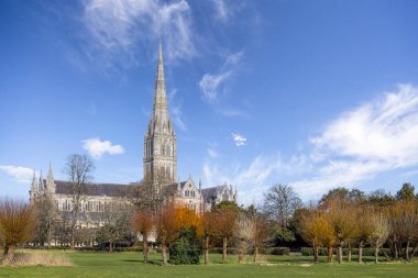 Salisbury, Wiltshire, İngiltere 'de 2 Mart 2025' te Saisbuy Katedrali ve sonbahar renginde bir kadın.