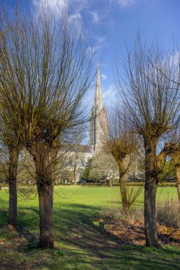 Salisbury, Wiltshire, İngiltere 'de 2 Mart 2025' te Saisbuy Katedrali ve sonbahar renginde bir kadın.
