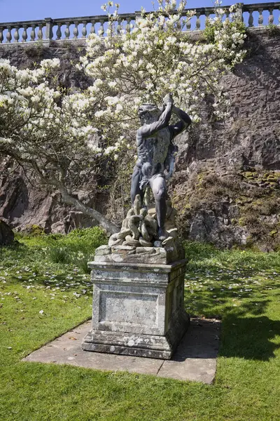 Herkül 'ün çoklu başlı Hydra' yı katlettiği heykel Powis Kalesi 'nin en önünde, Galler yakınlarındaki beyaz manolya ağacında 8 Nisan 2025' de açıldı.