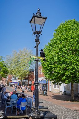 29 Nisan 2025 'te Cliffe High Street, Lewes, Sussex, İngiltere' deki sokak kafesi yakınlarındaki süslü bir sokak lambasına tünemiş büyük bir karga.