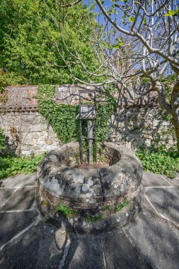 29 Nisan 2025 'te Lewes, Sussex, İngiltere' deki Southover Grange Bahçeleri 'nin sınırlarında