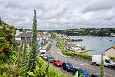 Penryn nehri 31 Mayıs 2025 'te ana cadde Falmouth, Cornwall, İngiltere' deki tropik bahçelerden görüldü.