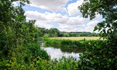 Salisbury 'deki Avon Nehri - 3 Temmuz 2025' te Wiltshire, İngiltere 'deki Salisbury merkezindeki tebeşir deresinin bir uzantısı