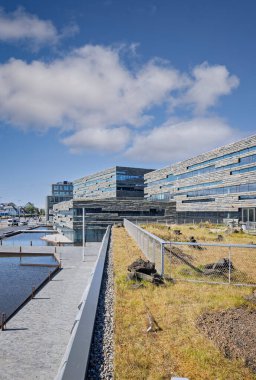 8 Haziran 2025 'te İzlanda' nın Reykavik kentinde Harpa Konser Salonu ve Konferans Merkezi 'nin yanında Reykjavik şehir merkezindeki ultra modern mimari