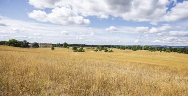 Croome Court Country House 'un panoramik görüntüsü, 16 Temmuz 2025' te Worcester, Worcestershire, İngiltere yakınlarındaki Croome 'da beyazlatılmış bir parka dönüştü.