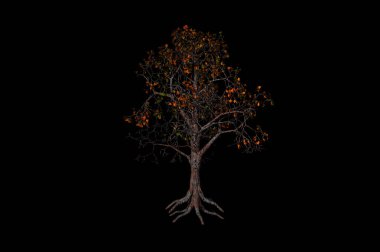 Apple tree black background 3d rendering