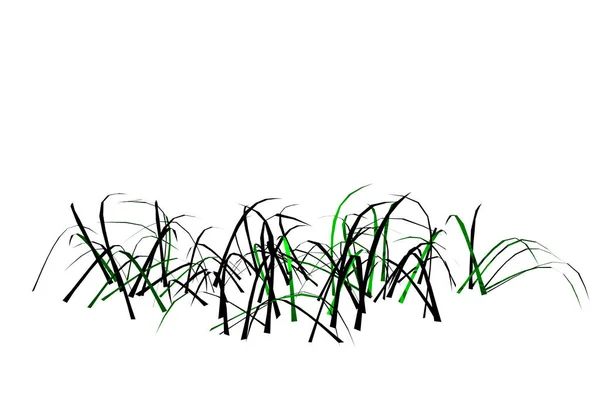 Shape Grass Low White Background Rendering — Stock Photo, Image