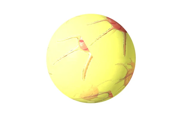 海滩球白色背景3D渲染 — 图库照片