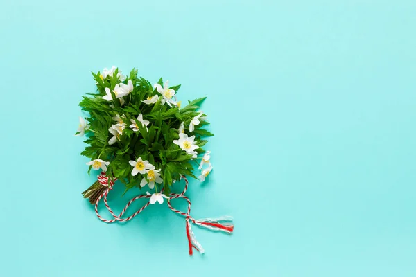 红白相间的海葵花 是三月一日春天第一天的传统象征 背景为浅绿色 — 图库照片