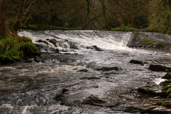 Vackert Vattenfall Floden Cusher Clare Glens Forest — Stockfoto