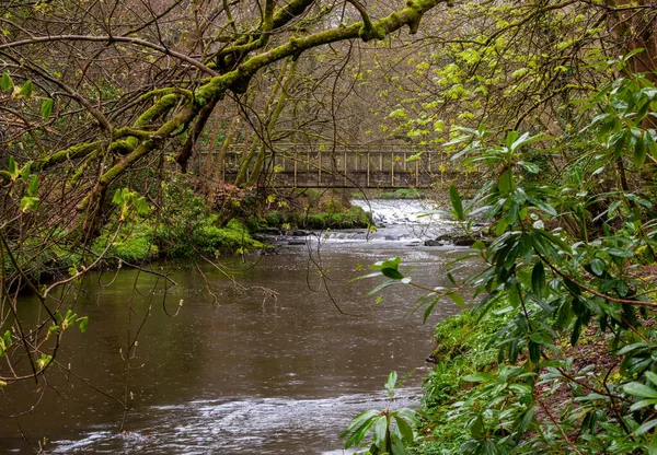 stock image Pedestrian bridge over the River Cusher in the Clare Glens Fores